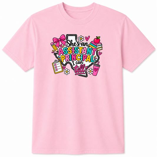 Assistant Principal graphic t-shirt